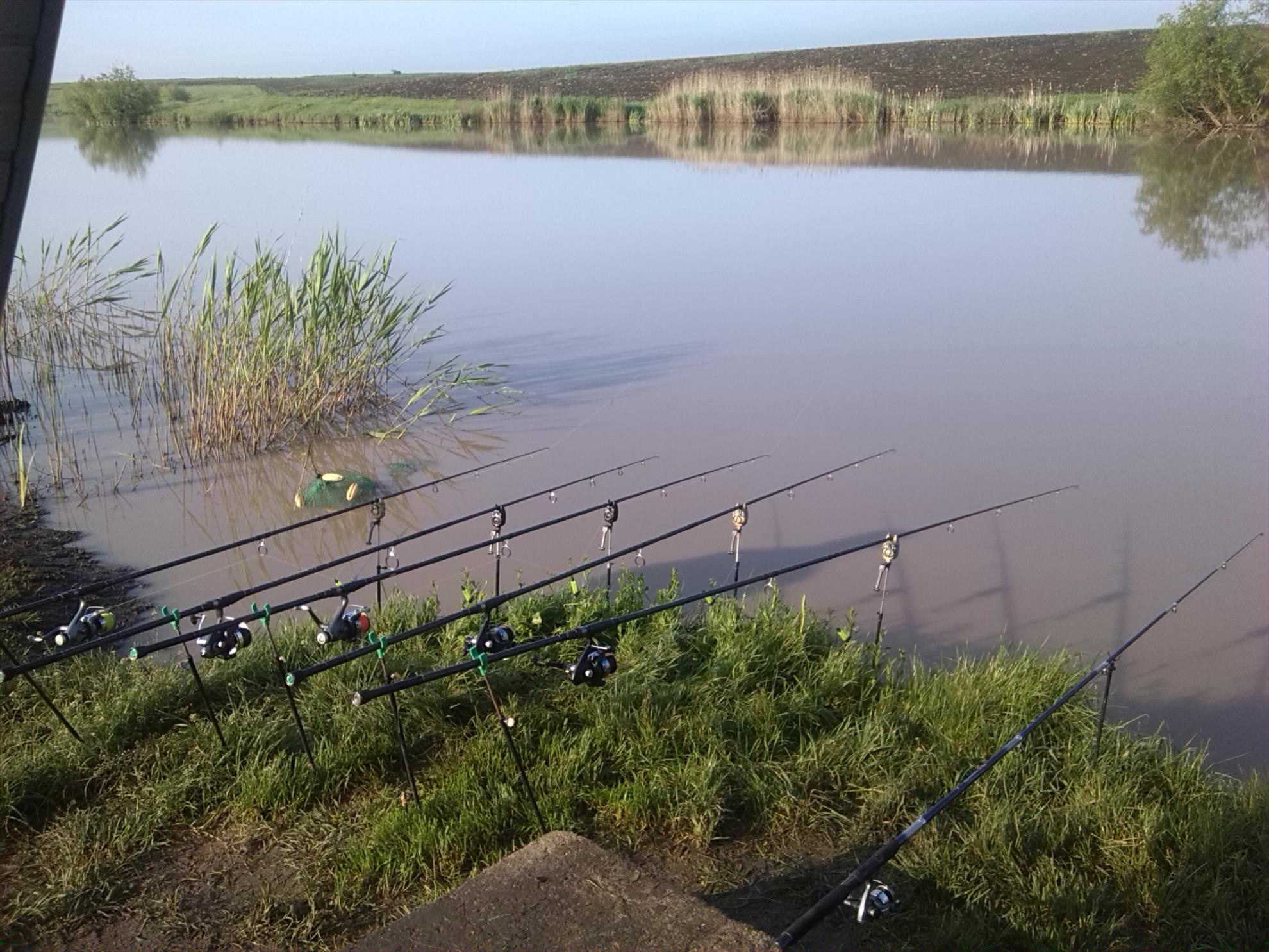 lilieci teleorman - img20140501081413.jpg